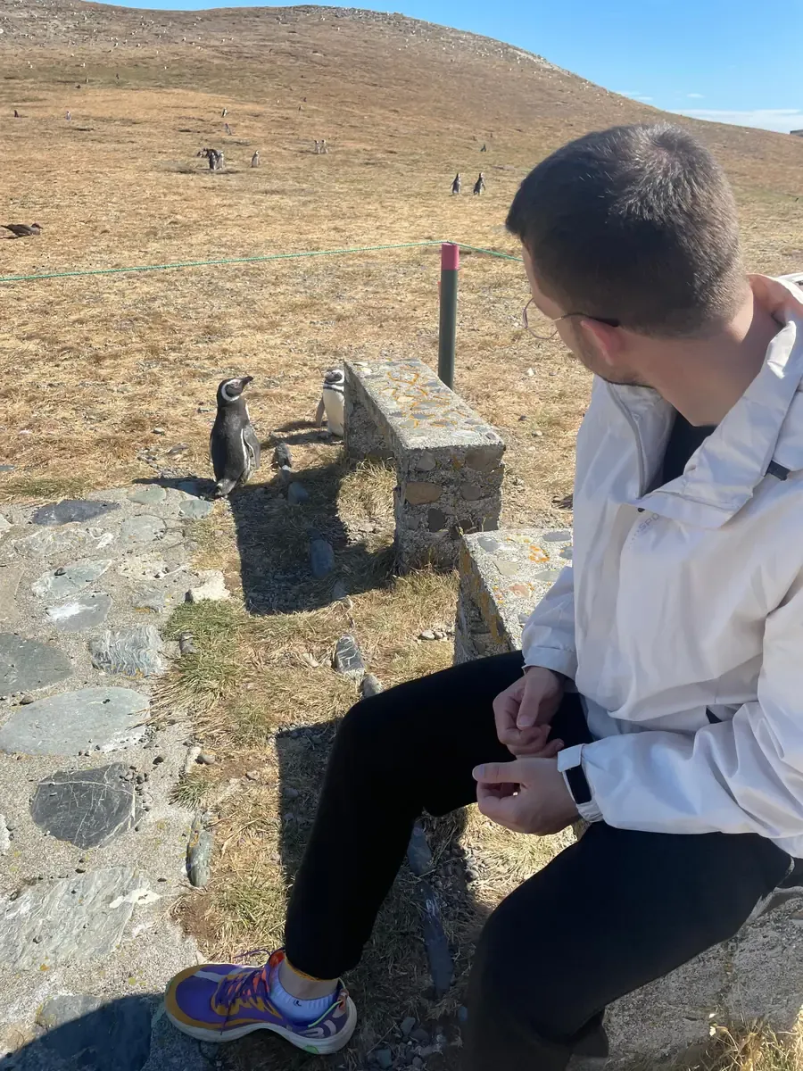Visitor sitting beside a stone wall watching Magellanic penguins on Magdalena Island