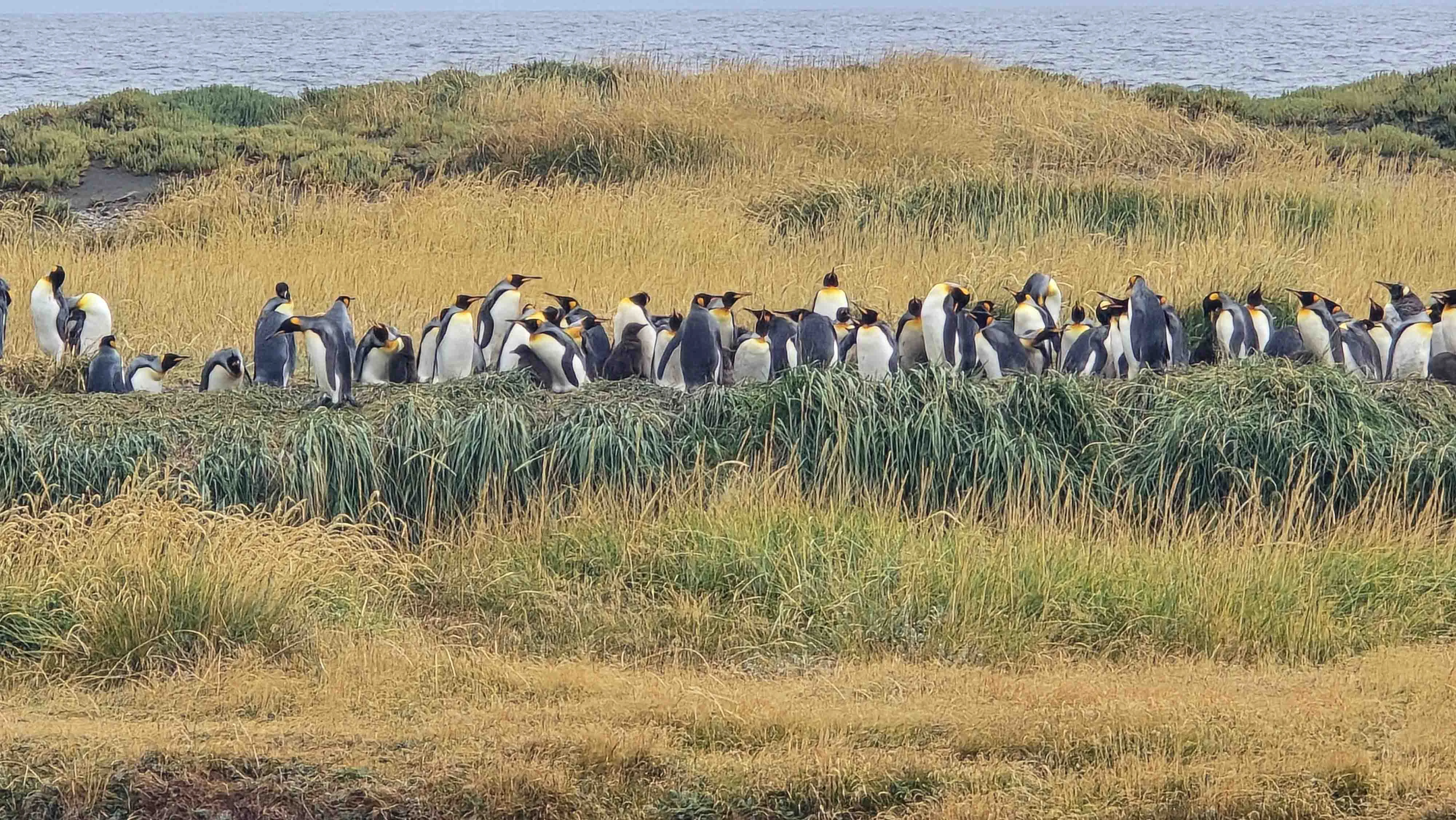 The most common mistake travelers make when arriving in Patagonia