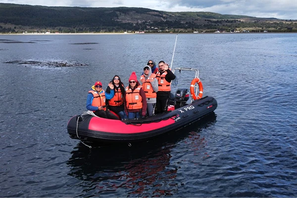 Dolphin watching tour